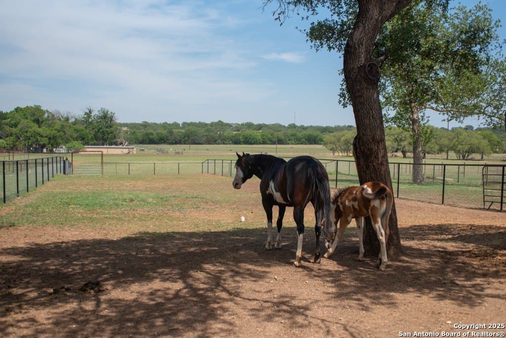 7.68 acres in Blanco County gallery image 3