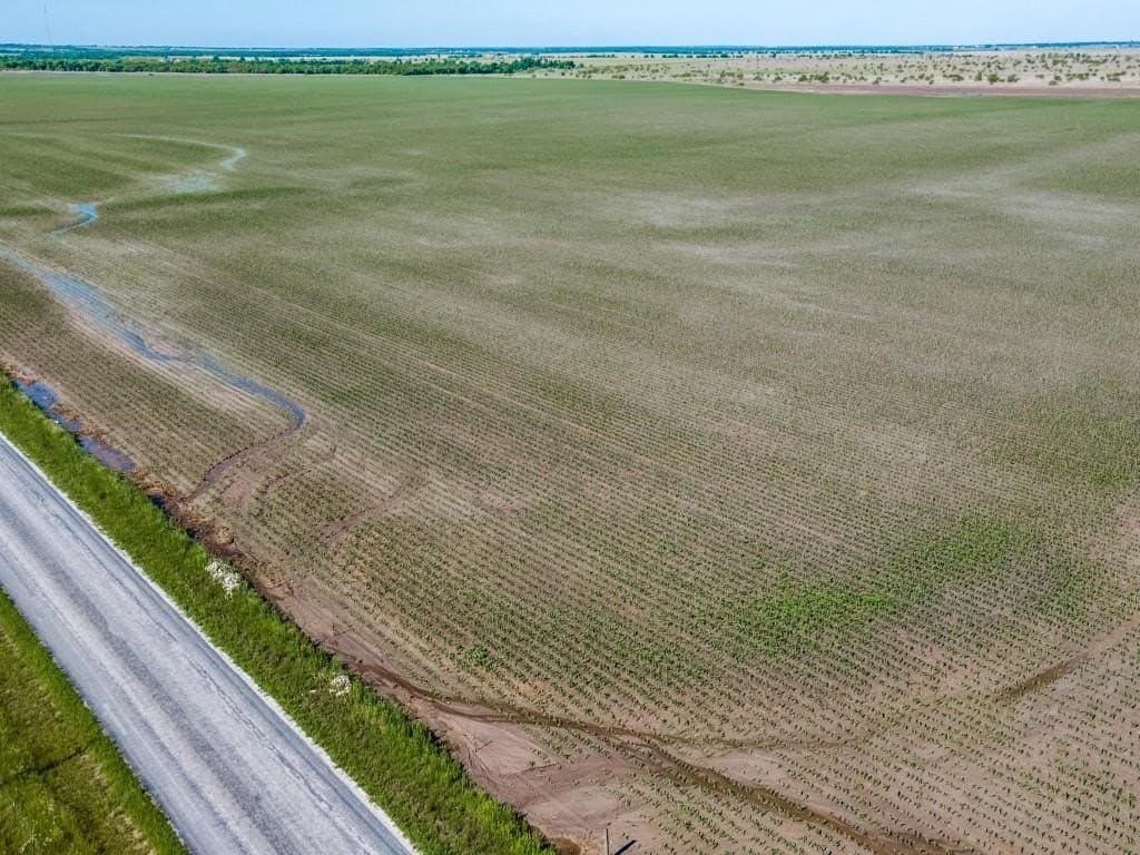 170 acres in Grayson County featured view