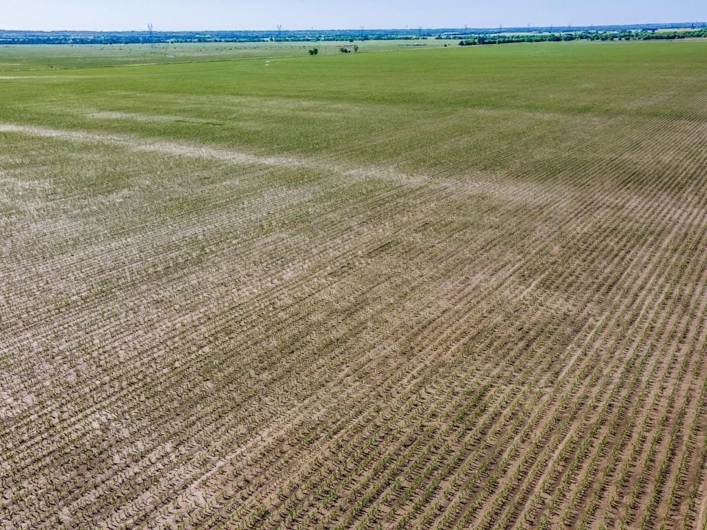 170 acres in Grayson County gallery image 4