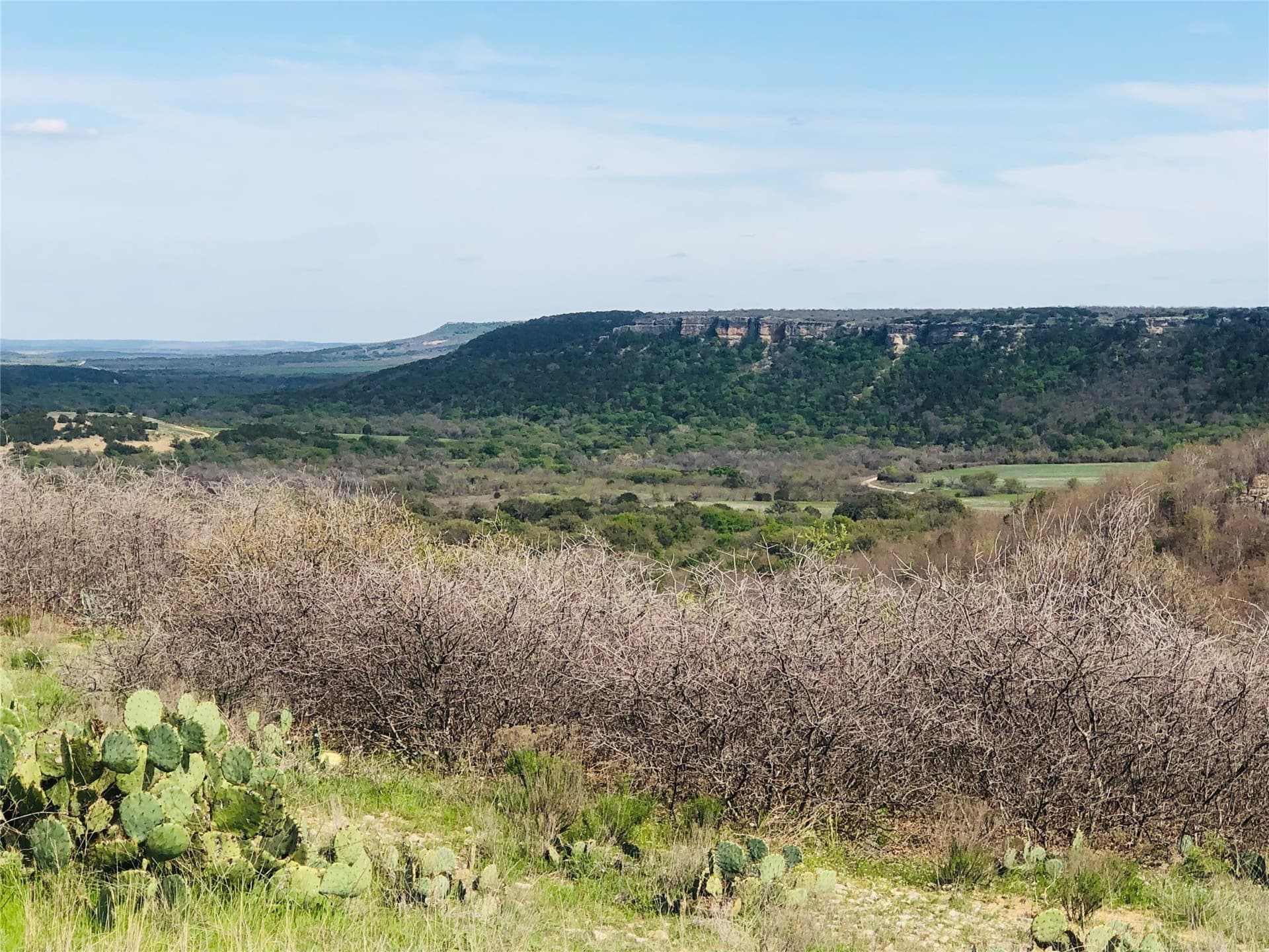 0.32 acres in Palo Pinto County gallery image 2