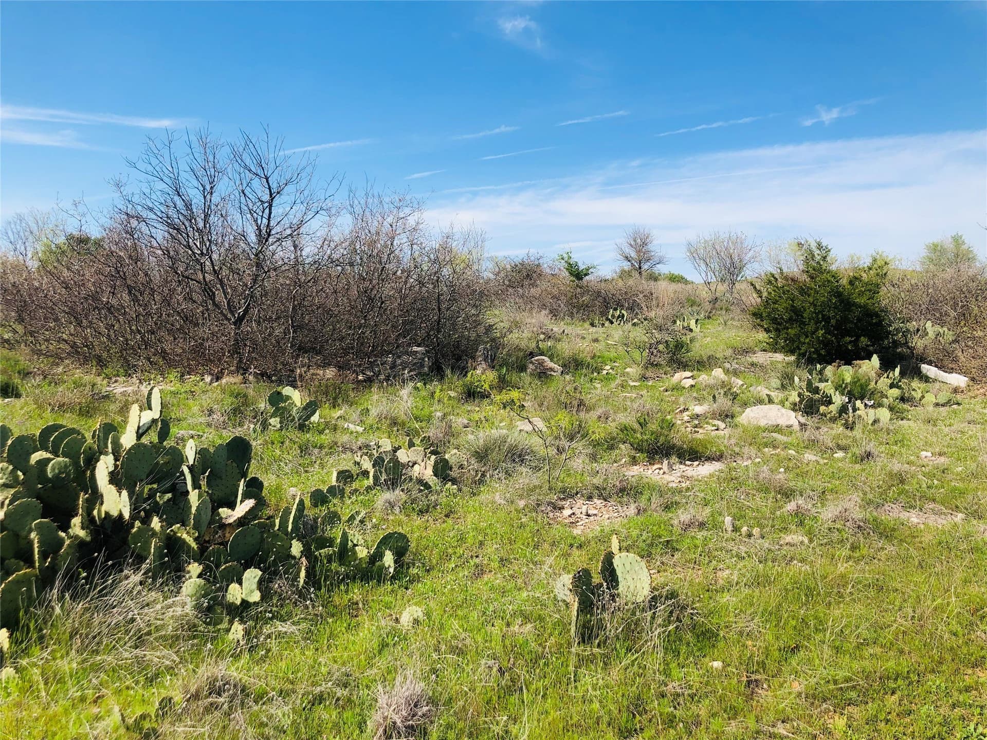 0.32 acres in Palo Pinto County - photo 6