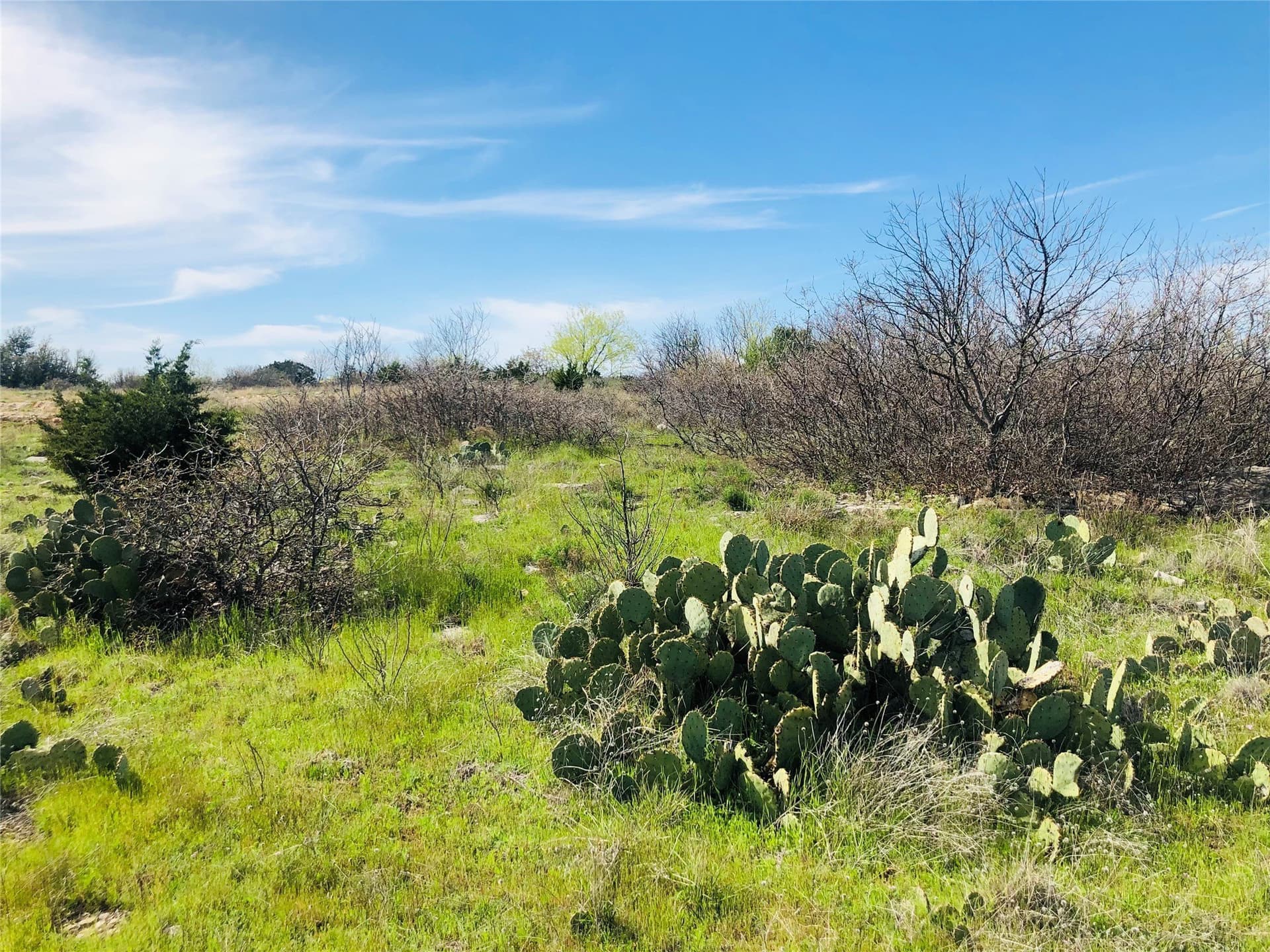 0.32 acres in Palo Pinto County - photo 7