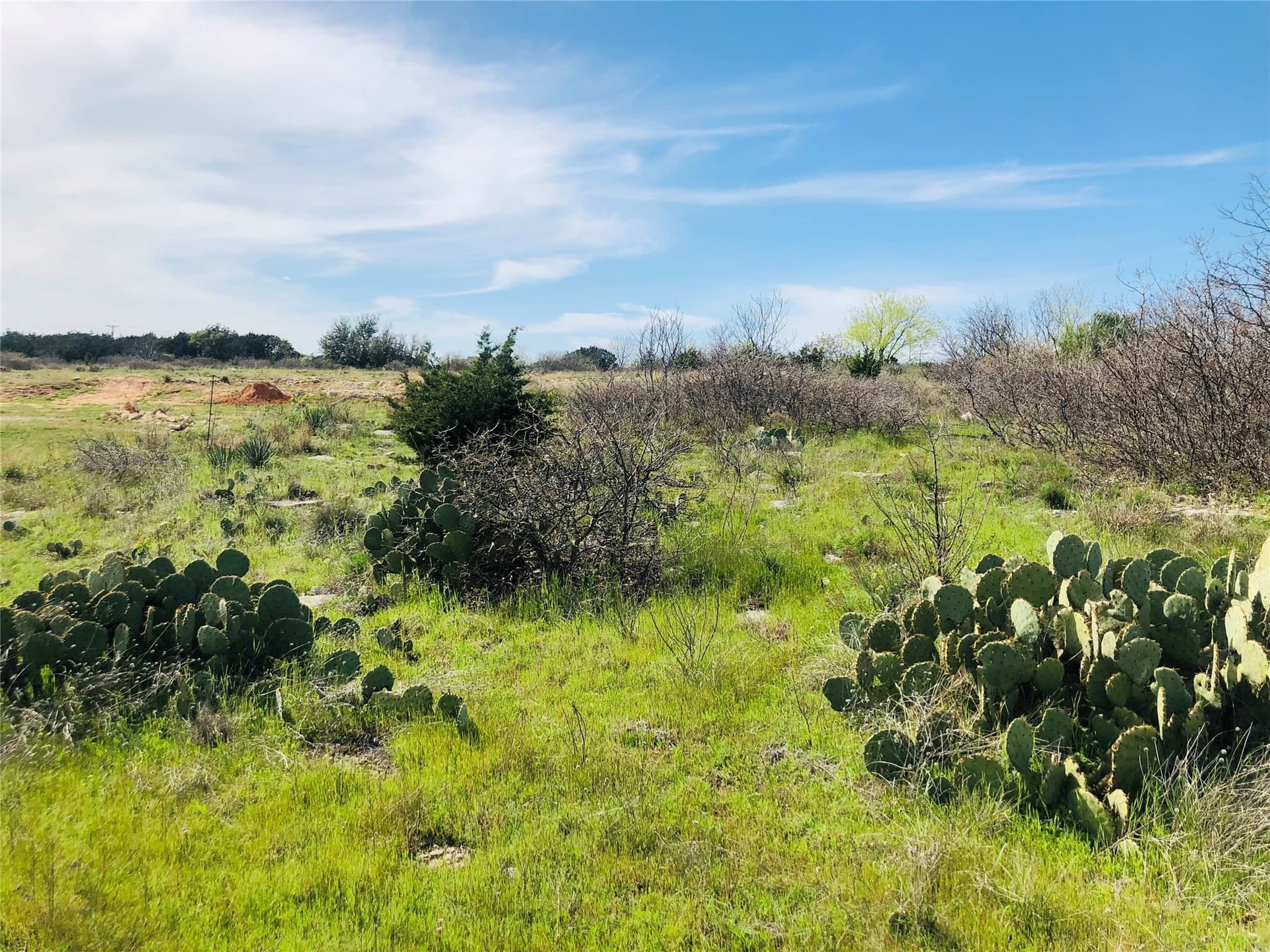 0.32 acres in Palo Pinto County