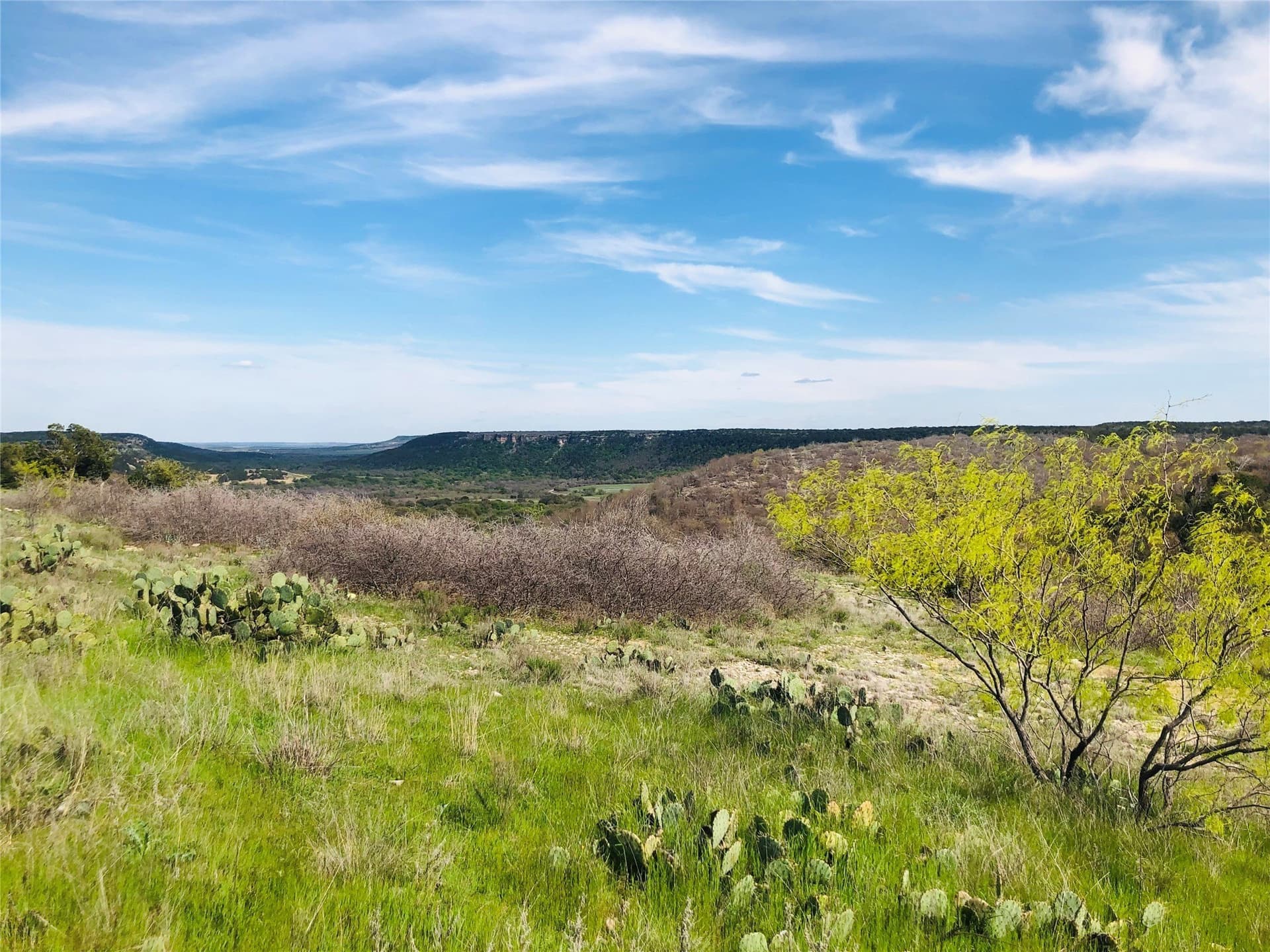 0.32 acres in Palo Pinto County gallery image 3