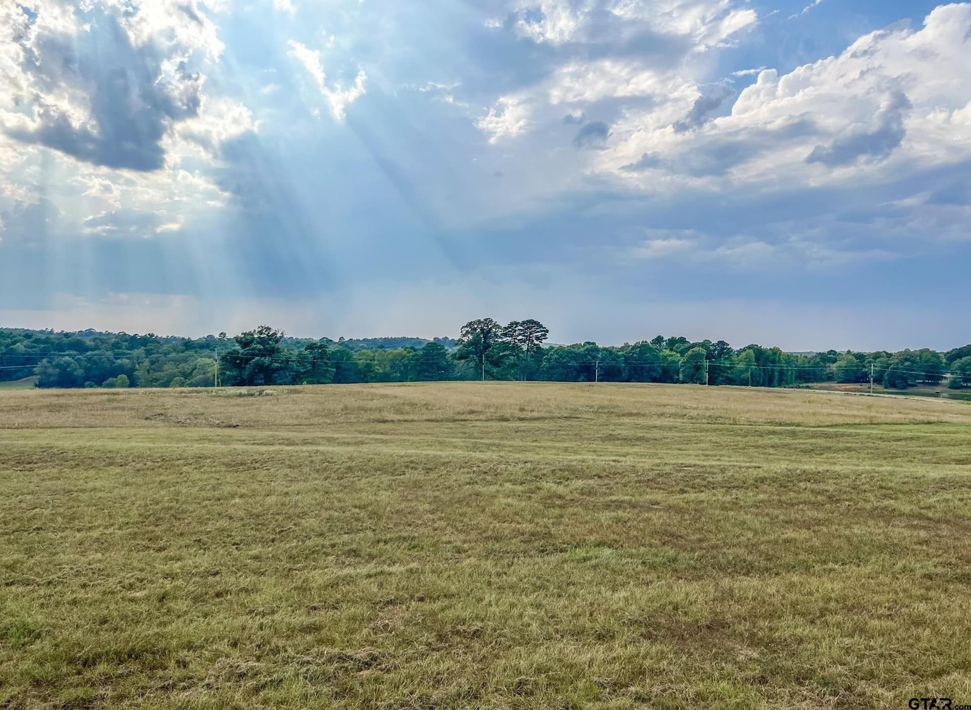 4.01 acres in Upshur County gallery image 3