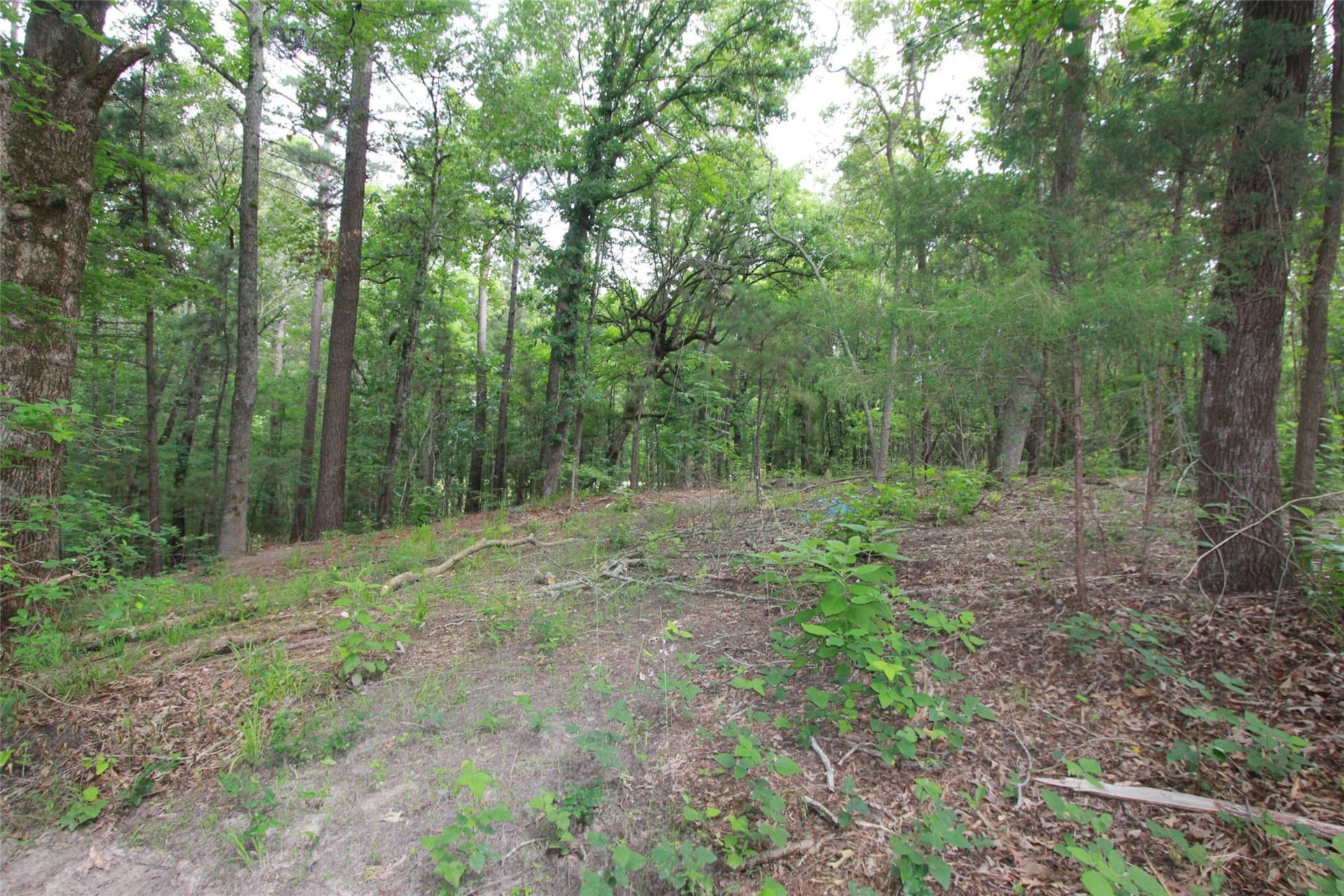 8.53 acres in Smith County - photo 8