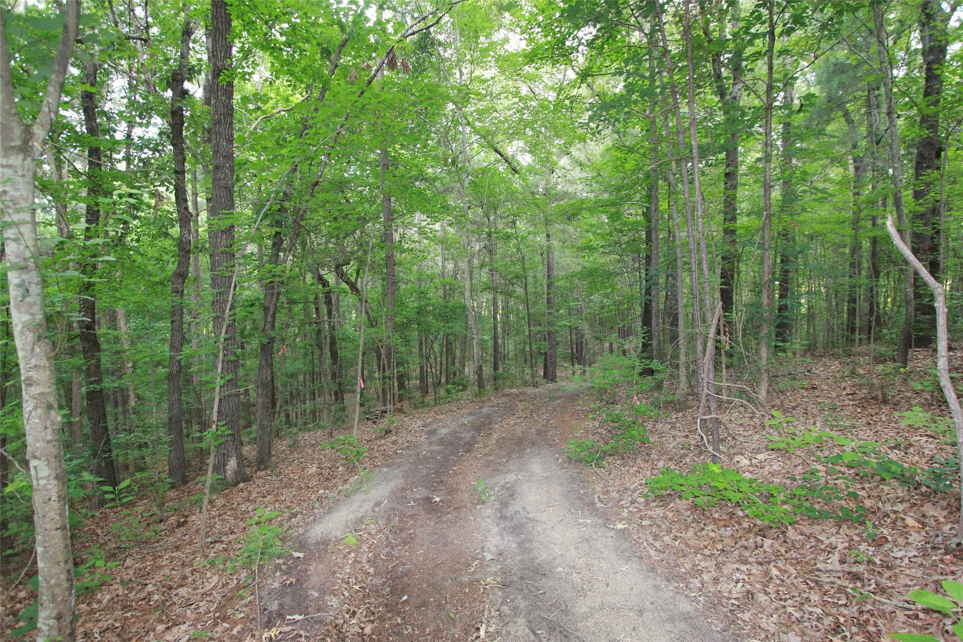 8.53 acres in Smith County - photo 5