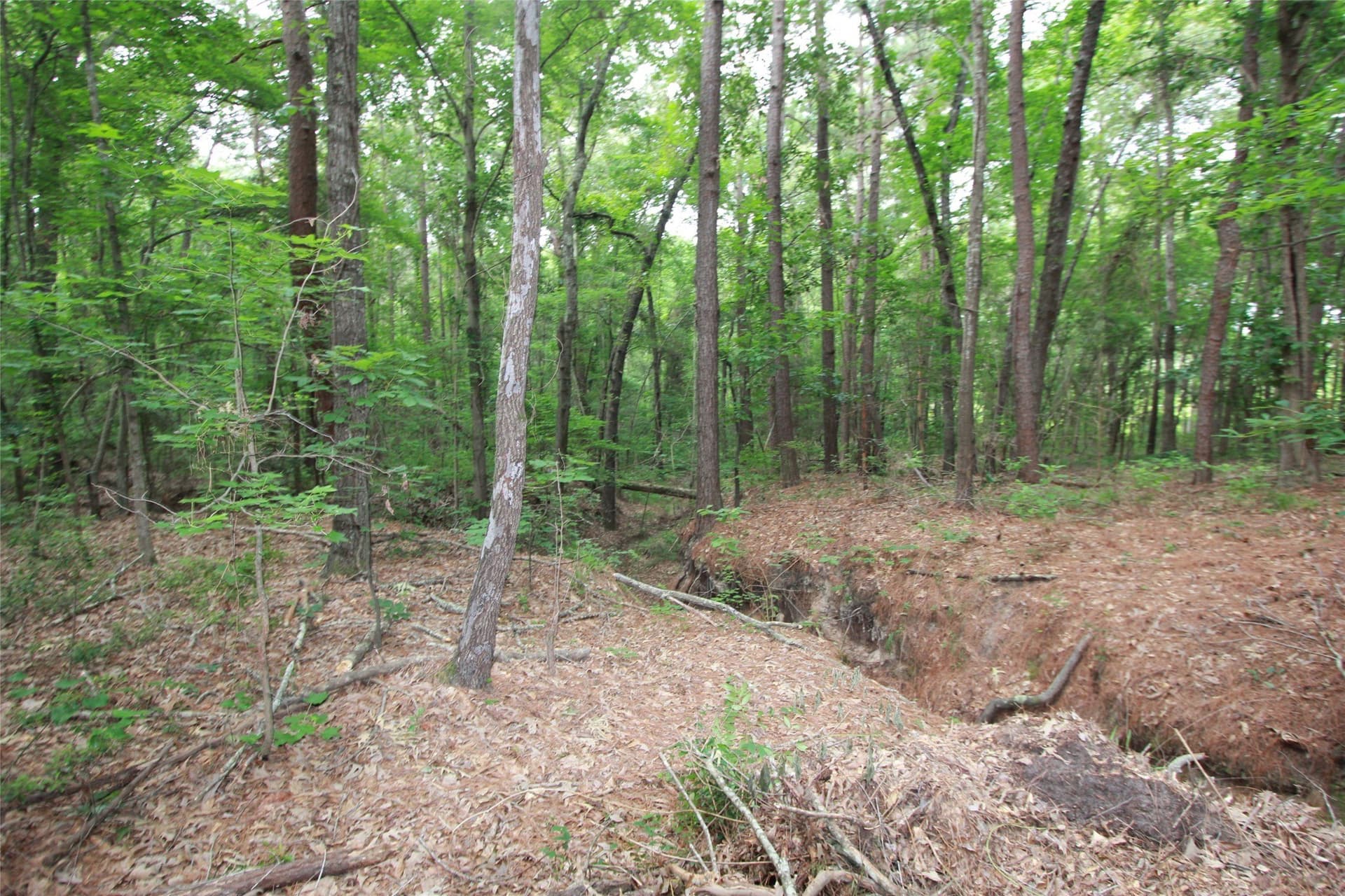 8.53 acres in Smith County - photo 10
