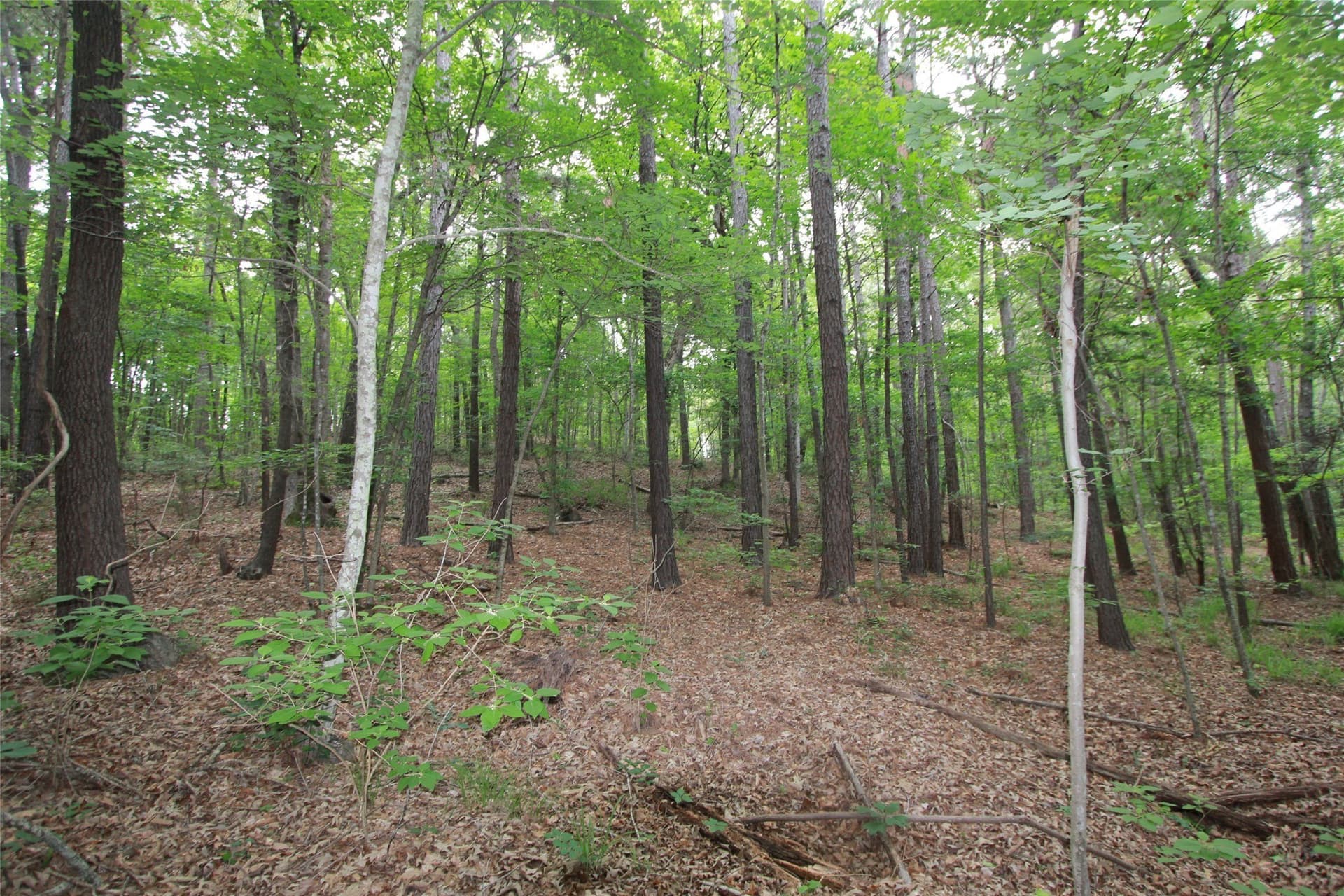 8.53 acres in Smith County - photo 11