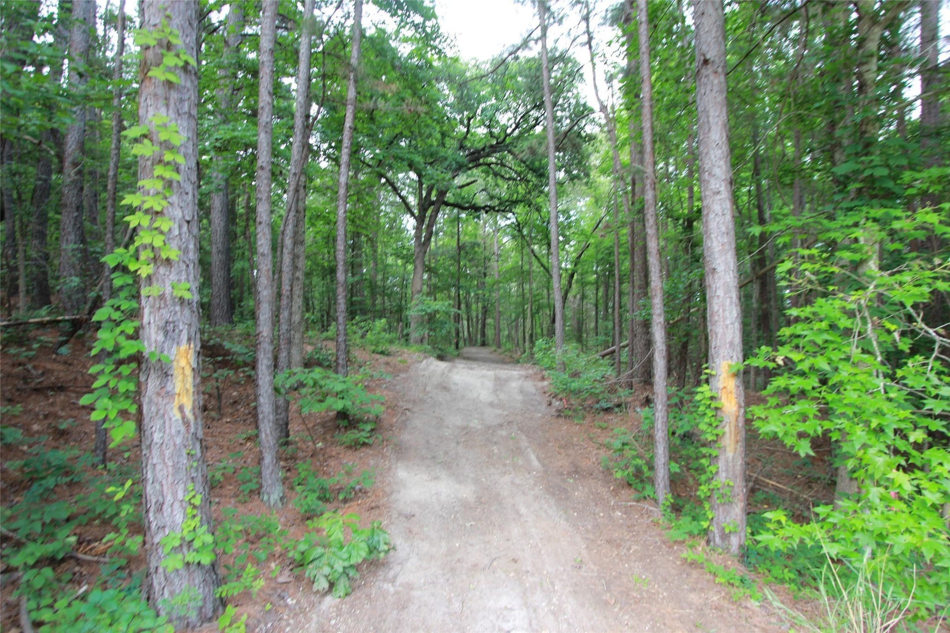 8.53 acres in Smith County - photo 4