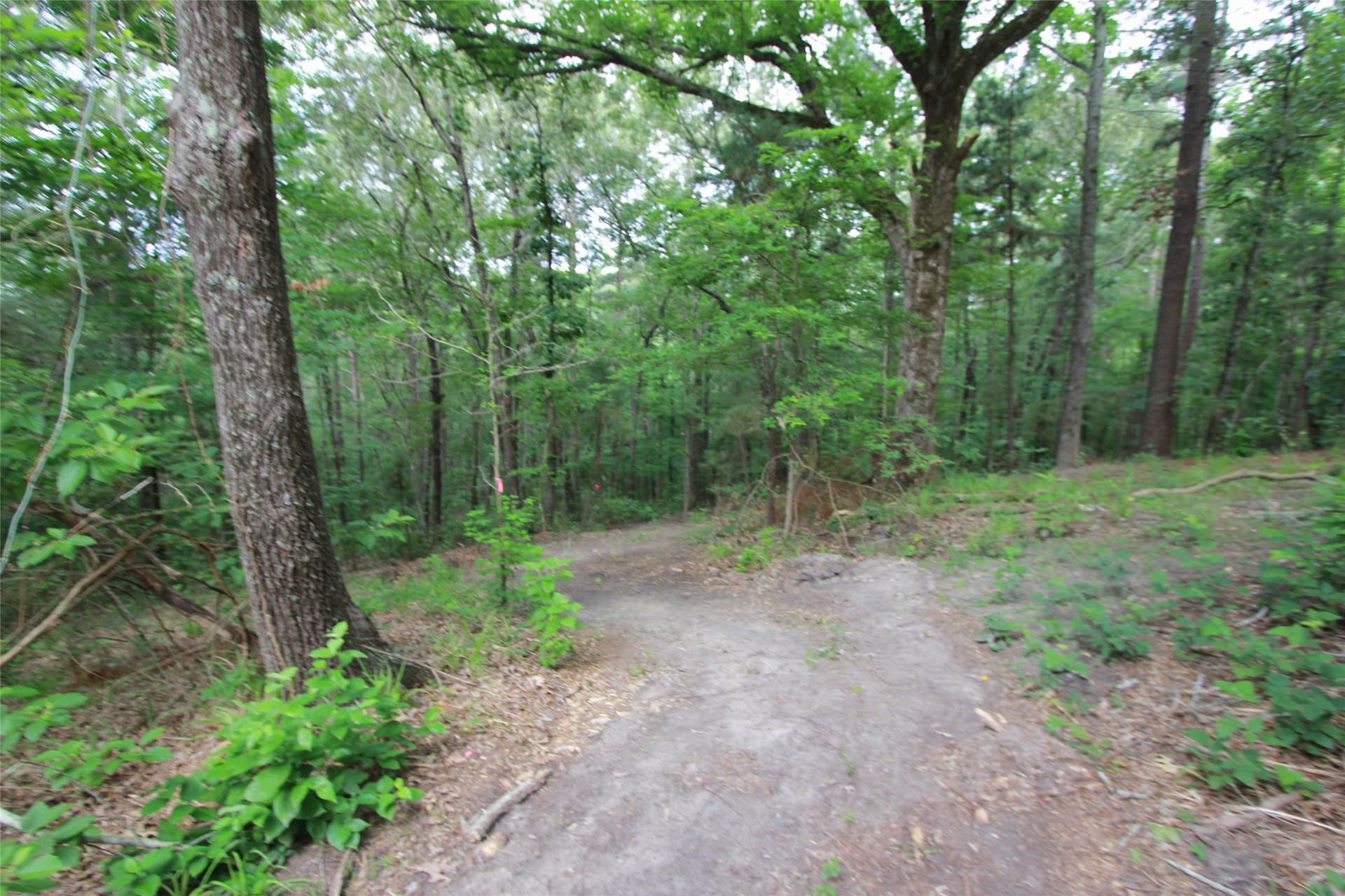 8.53 acres in Smith County - photo 7