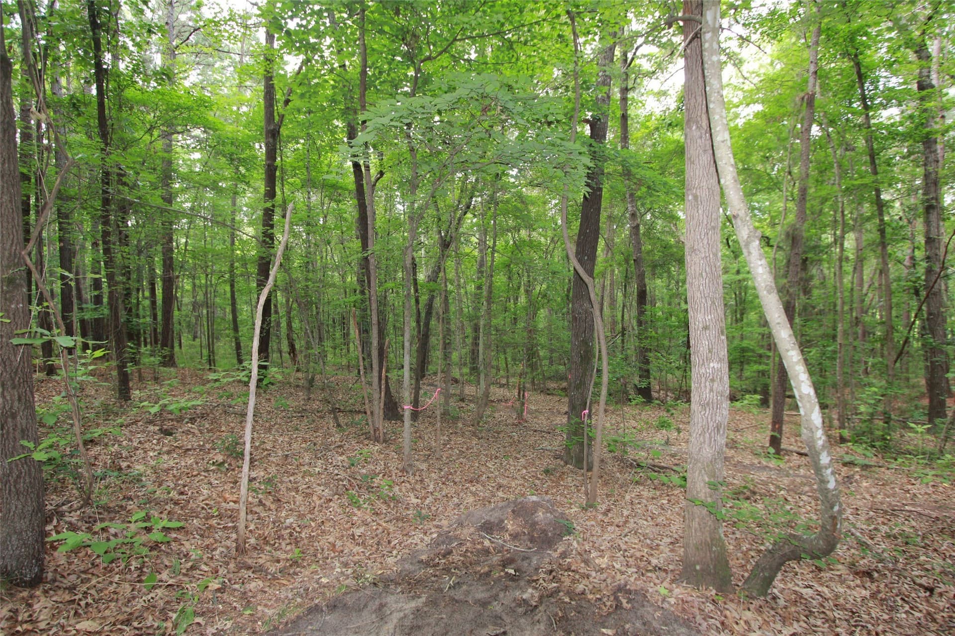 8.53 acres in Smith County - photo 9