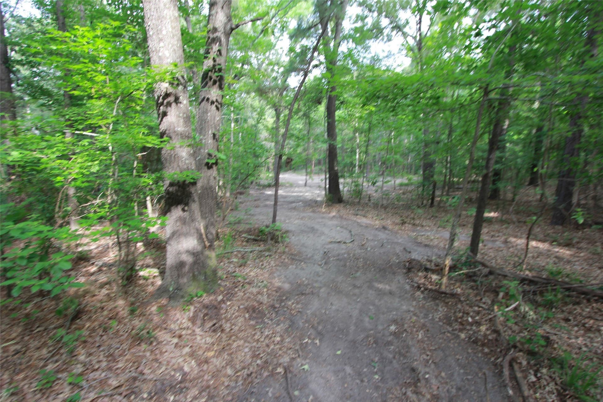 8.53 acres in Smith County - photo 12