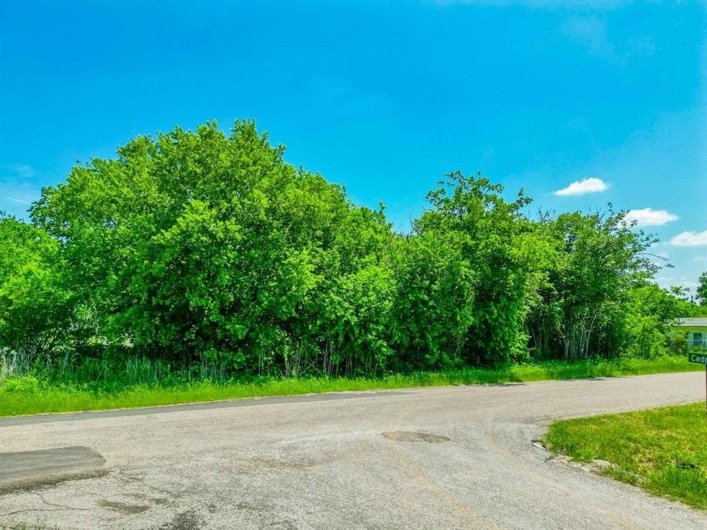 0.07 acres in Hood County gallery image 2