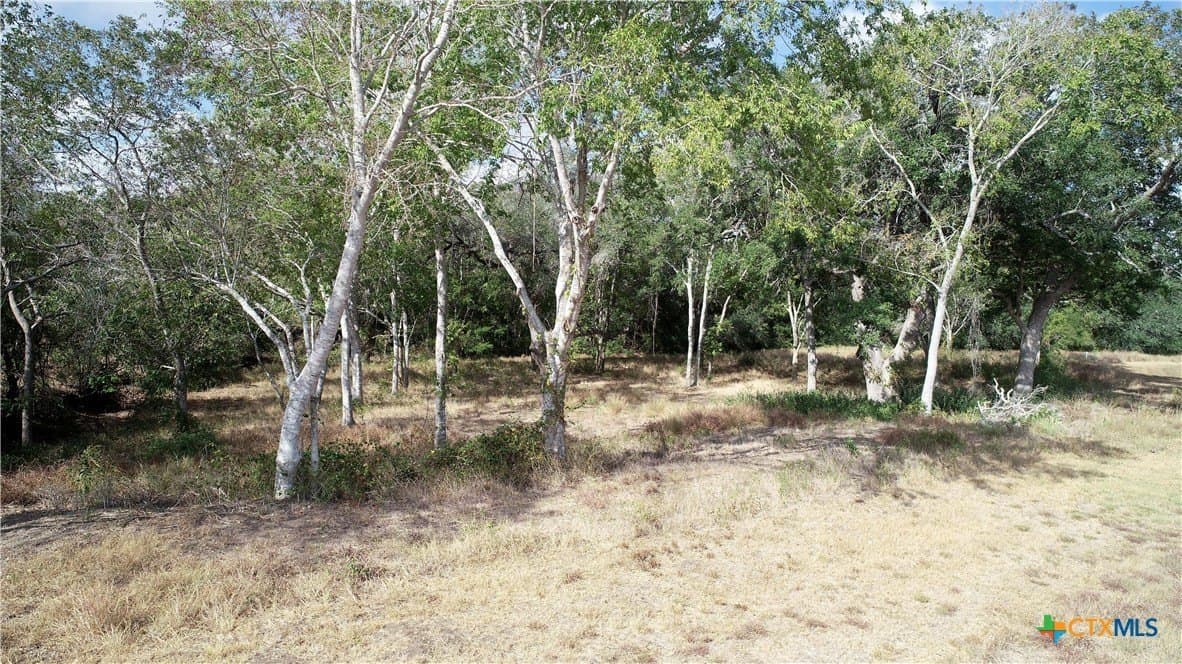 1.6 acres in Lavaca County - photo 9