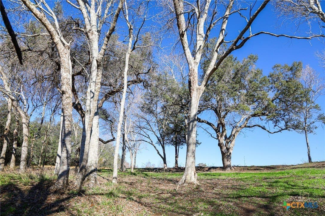 1.6 acres in Lavaca County - photo 6