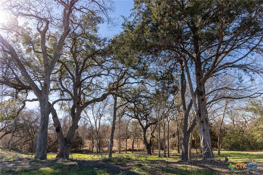 1.6 acres in Lavaca County gallery image 3