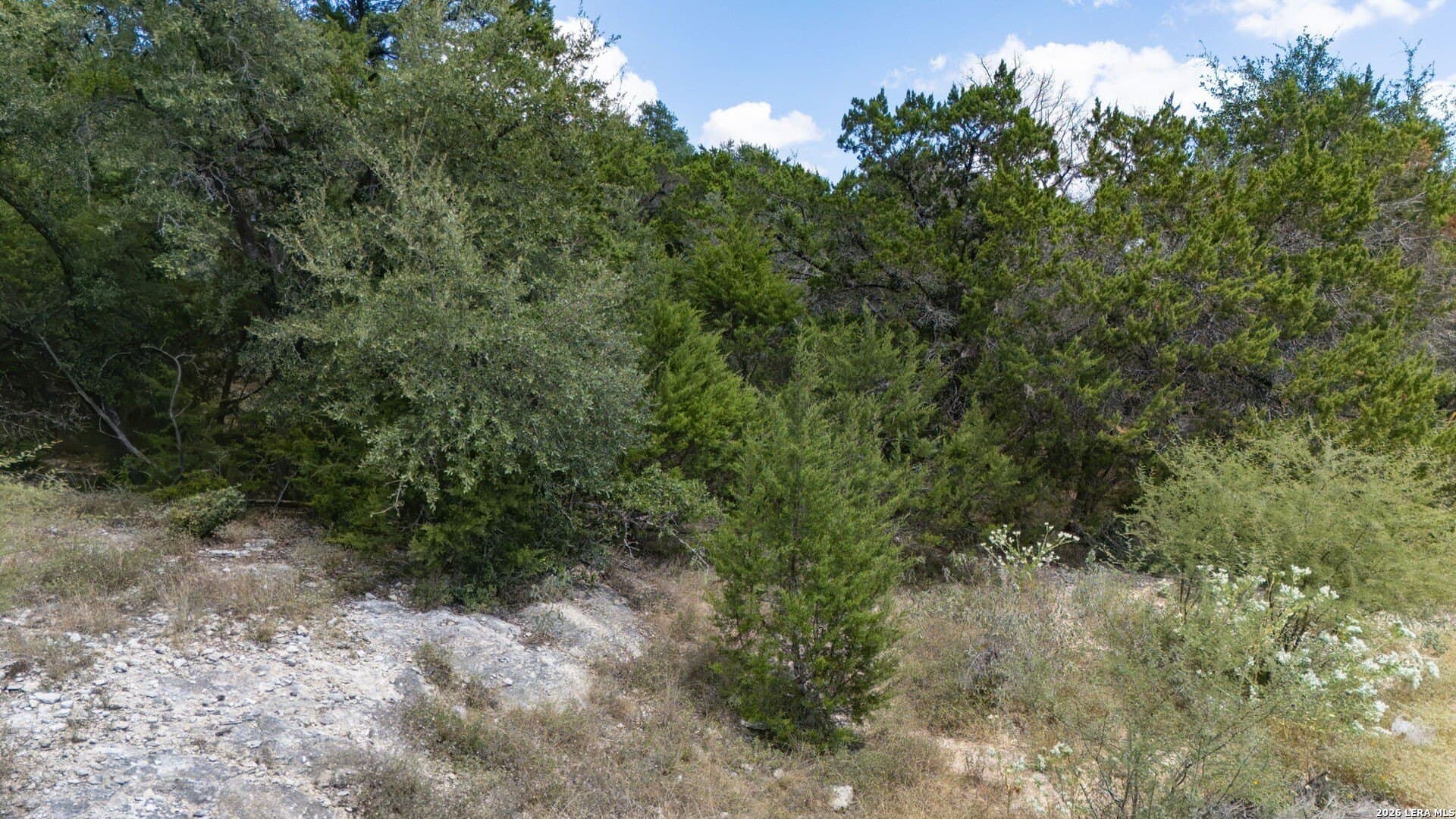 0.93 acres in Bexar County - photo 18