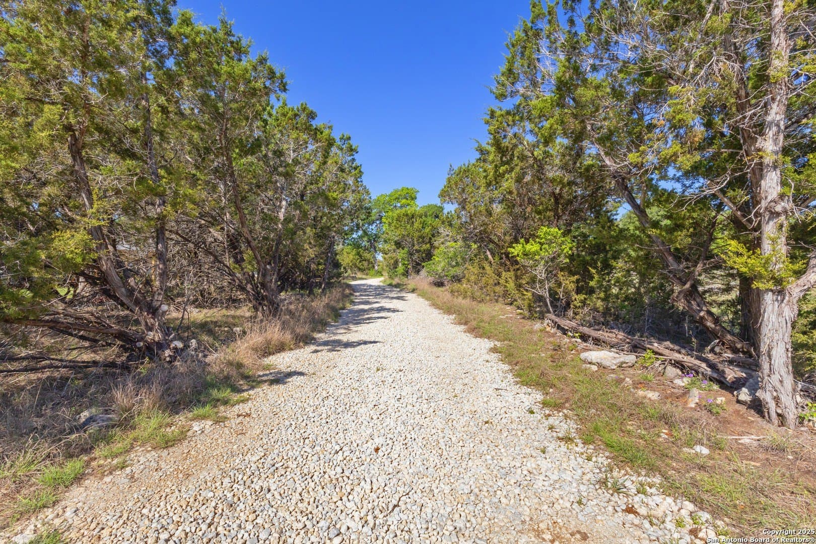 0.93 acres in Comal County gallery image 2