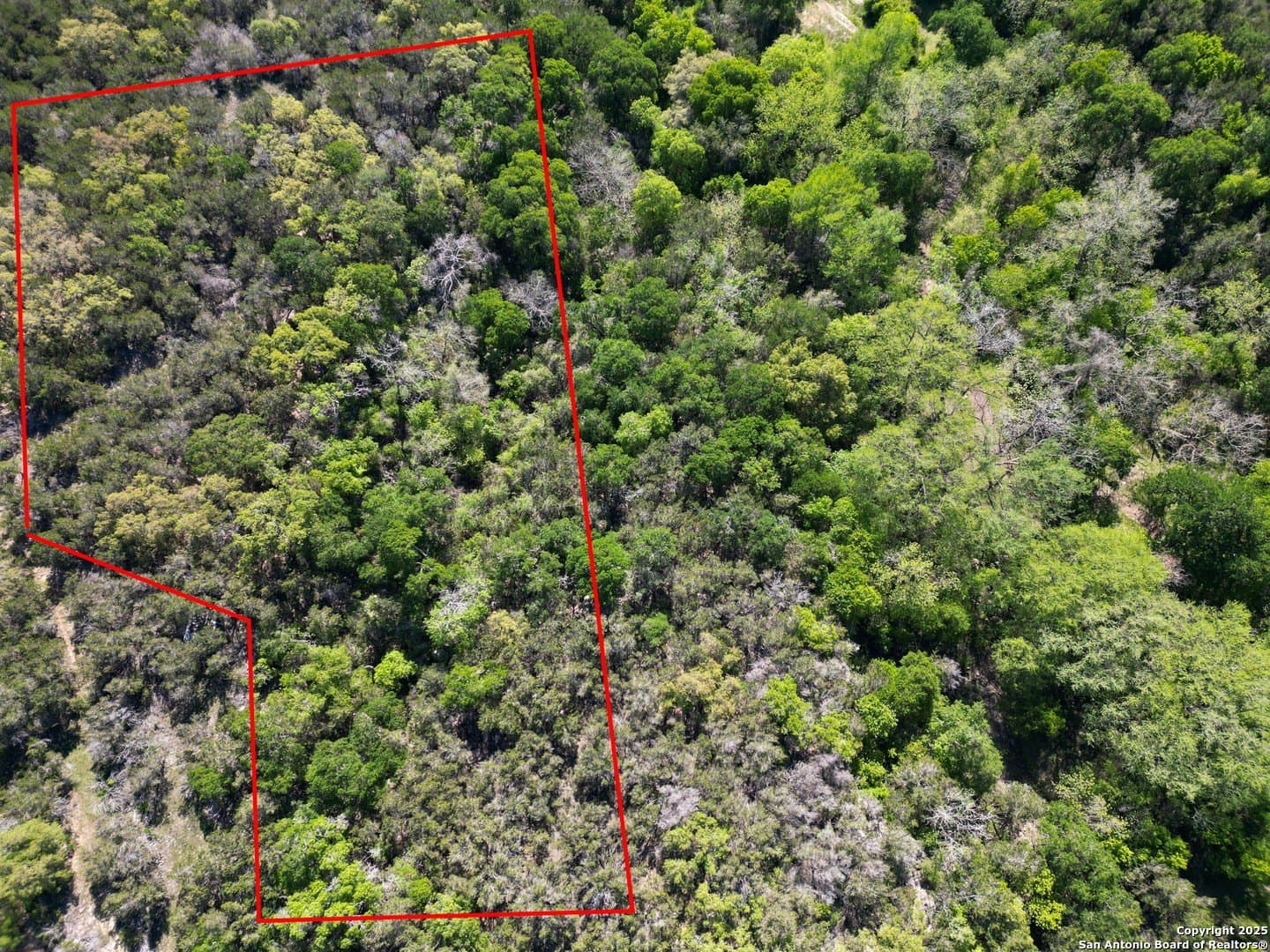 0.93 acres in Comal County - photo 9
