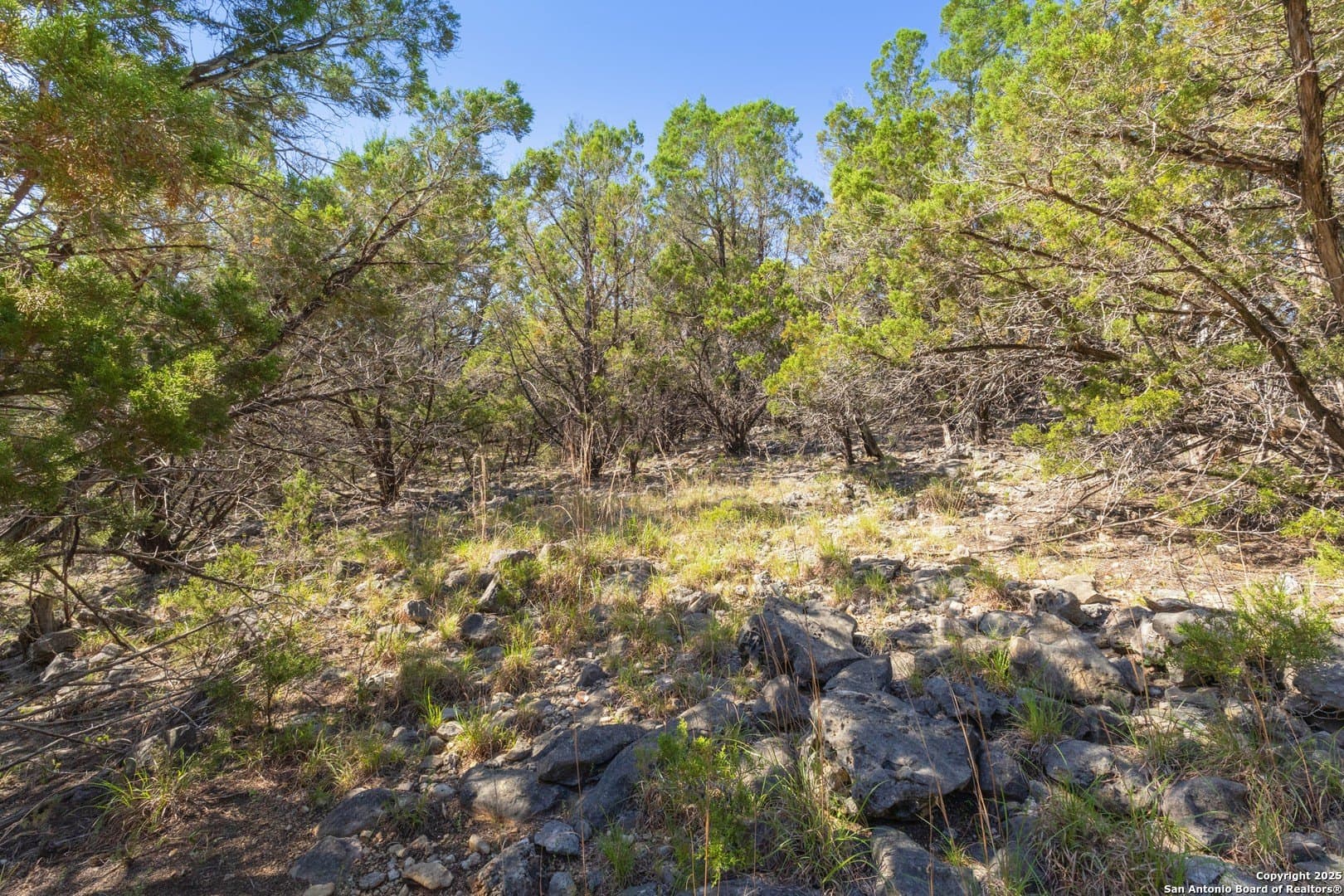0.93 acres in Comal County gallery image 4