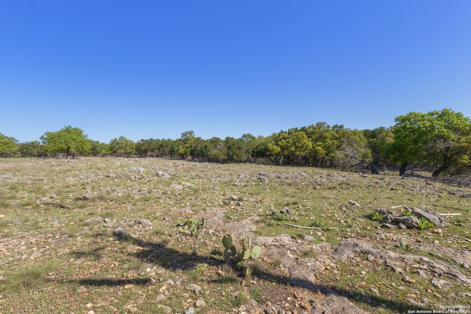 0.93 acres in Comal County gallery image 3