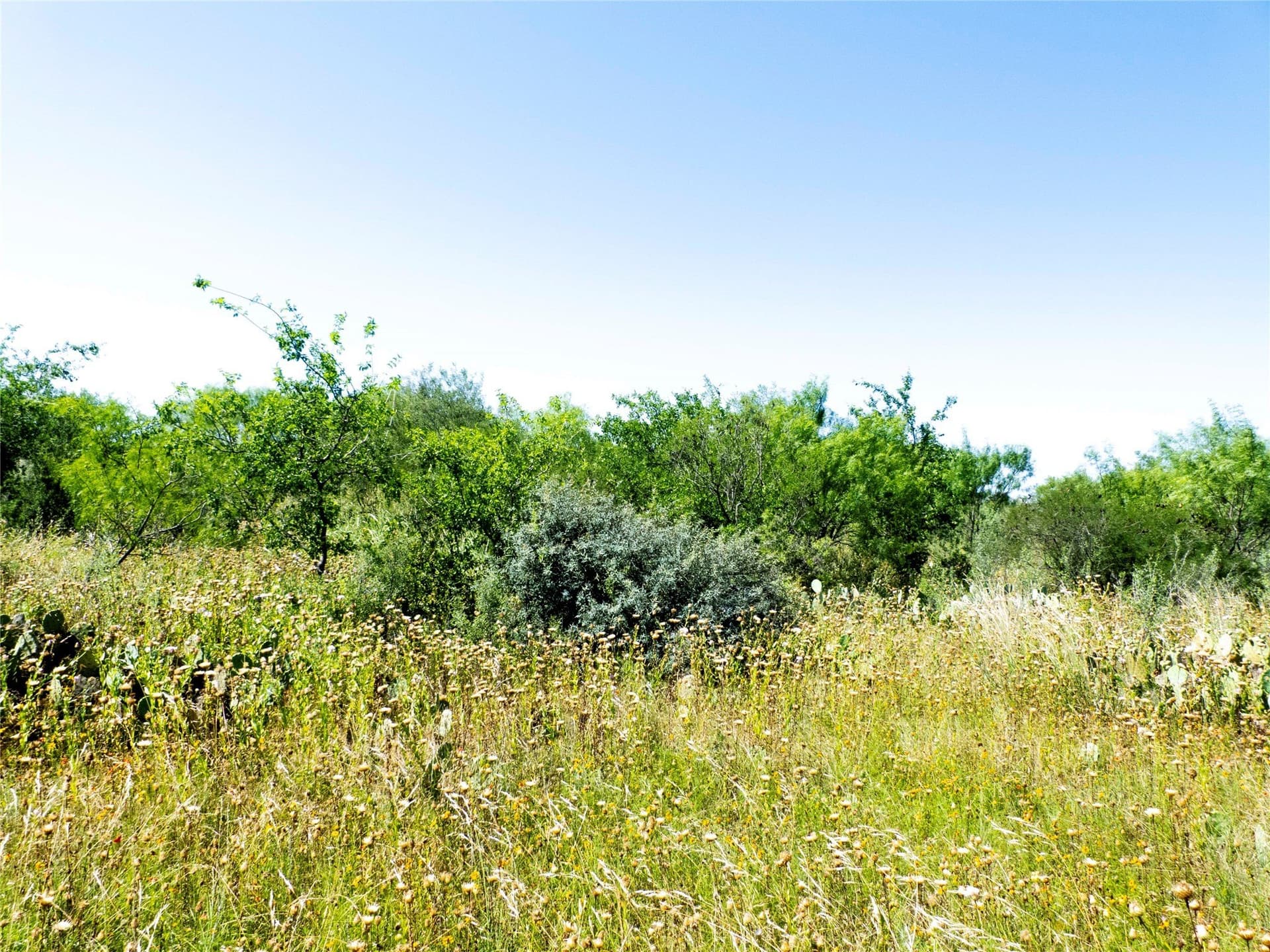 28.28 acres in Brown County - photo 16