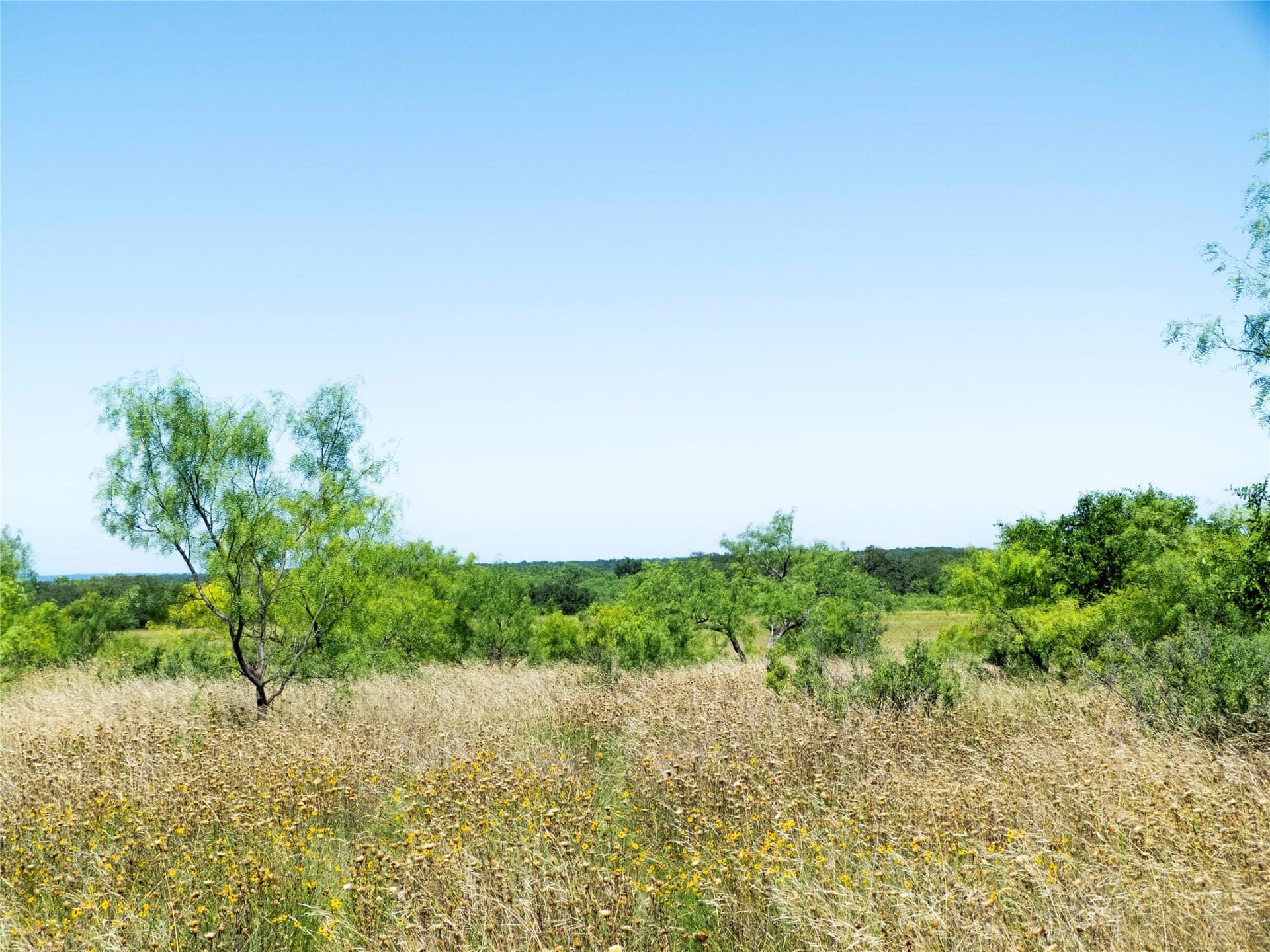 28.28 acres in Brown County - photo 13