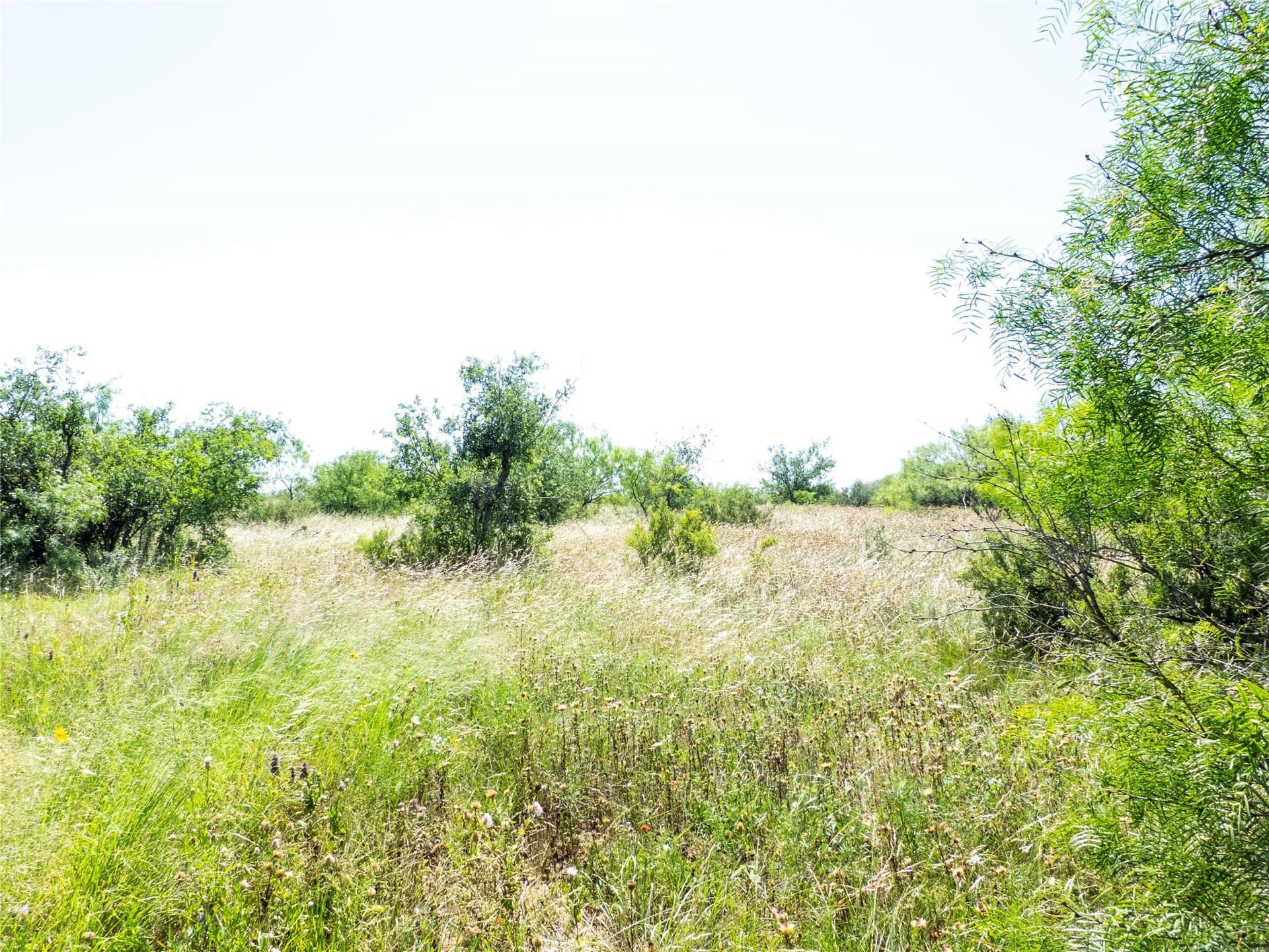 28.28 acres in Brown County - photo 15