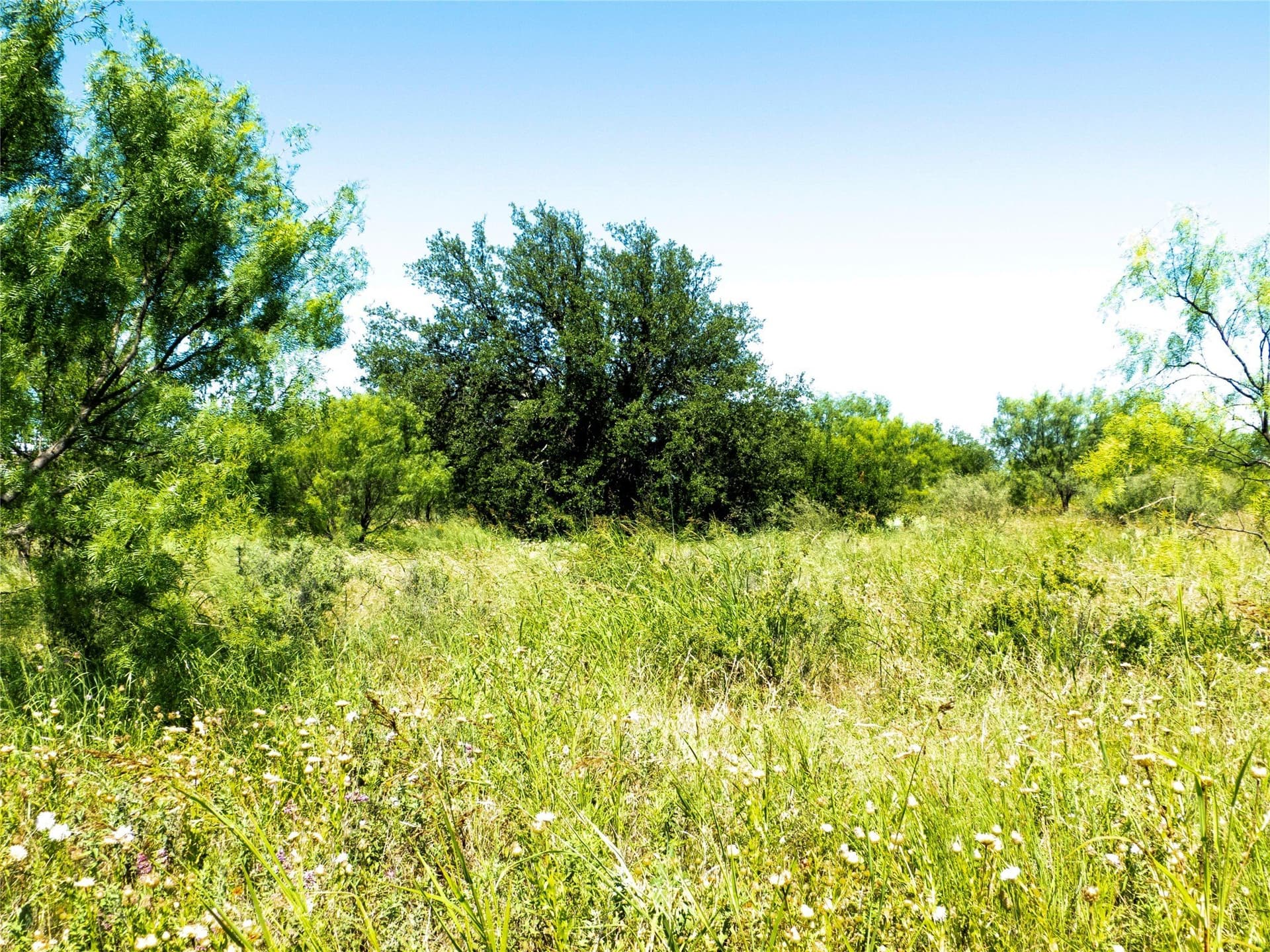 28.28 acres in Brown County - photo 30