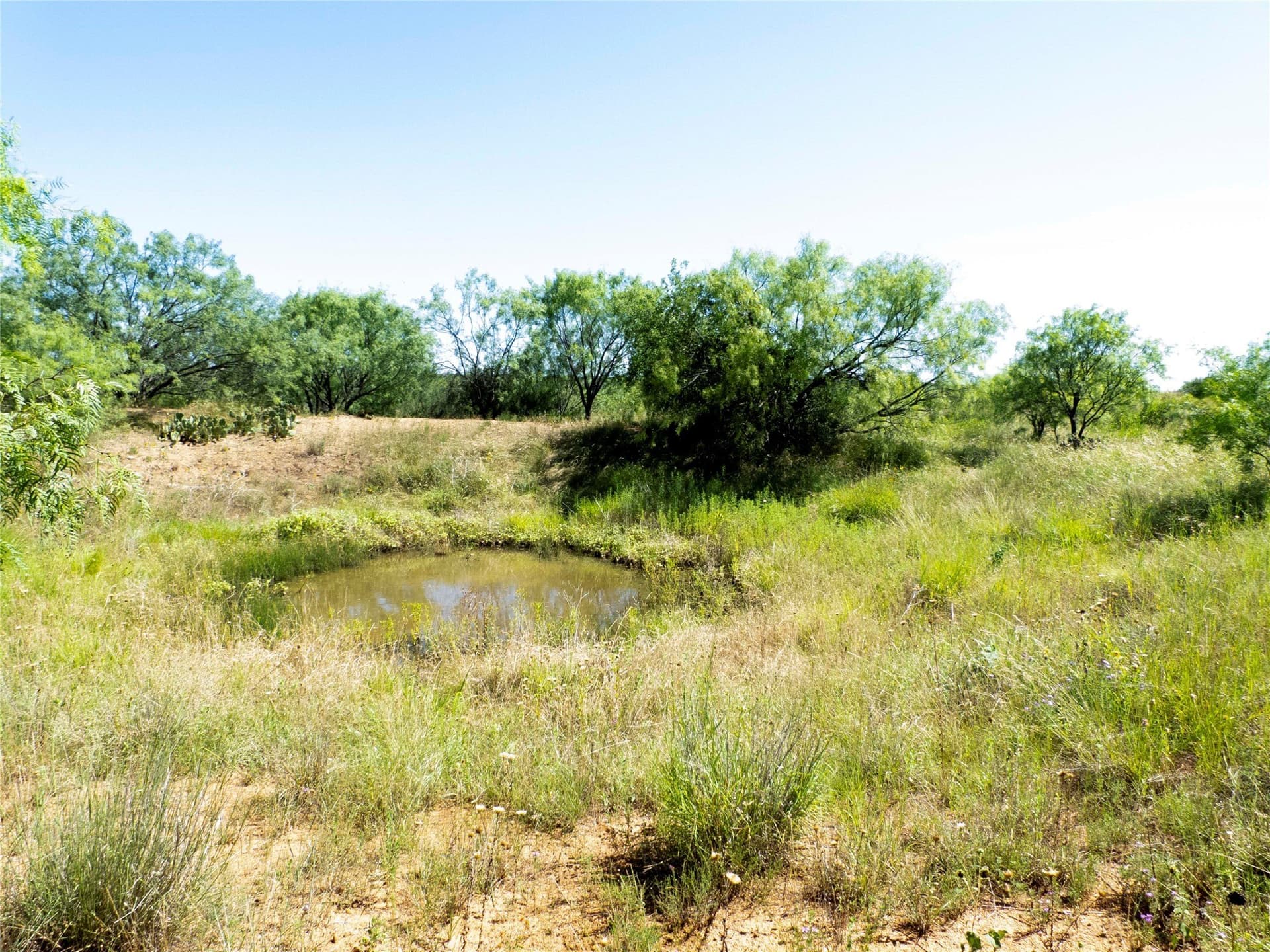 28.28 acres in Brown County - photo 14