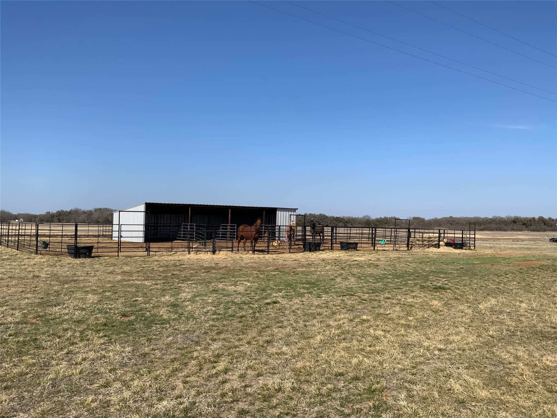 29.8 acres in Comanche County - photo 15