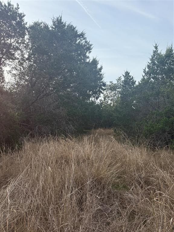 0.08 acres in Bell County featured view