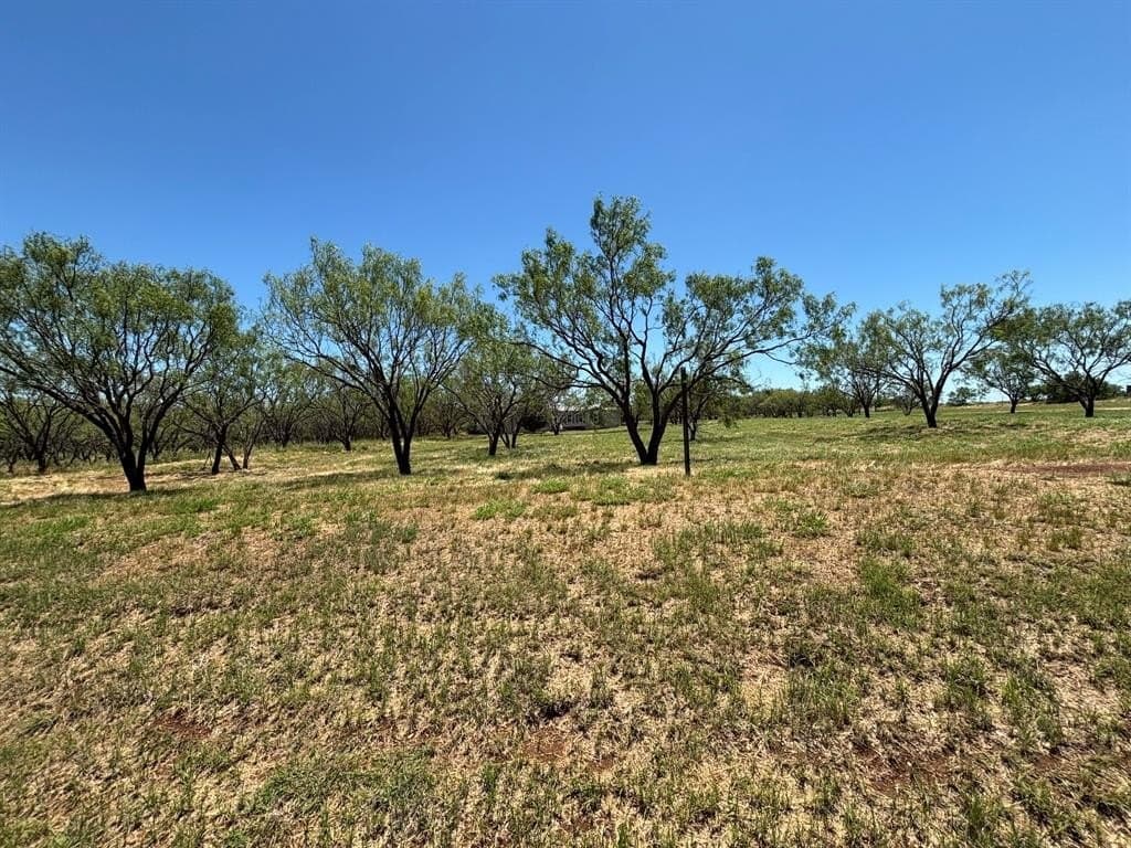 10 acres in Callahan County gallery image 2