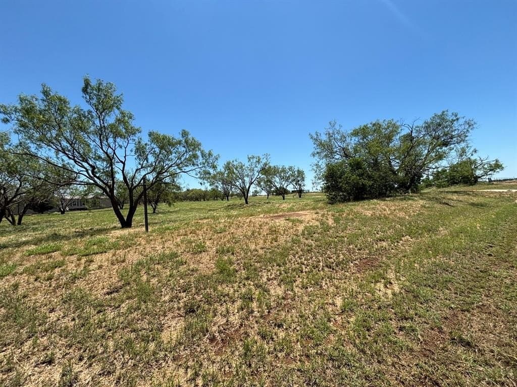 10 acres in Callahan County gallery image 4