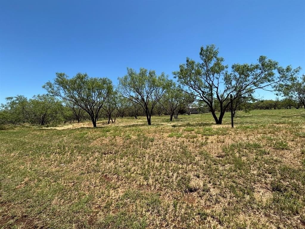 10 acres in Callahan County