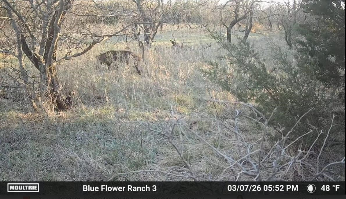 61.12 acres in Taylor County - photo 32