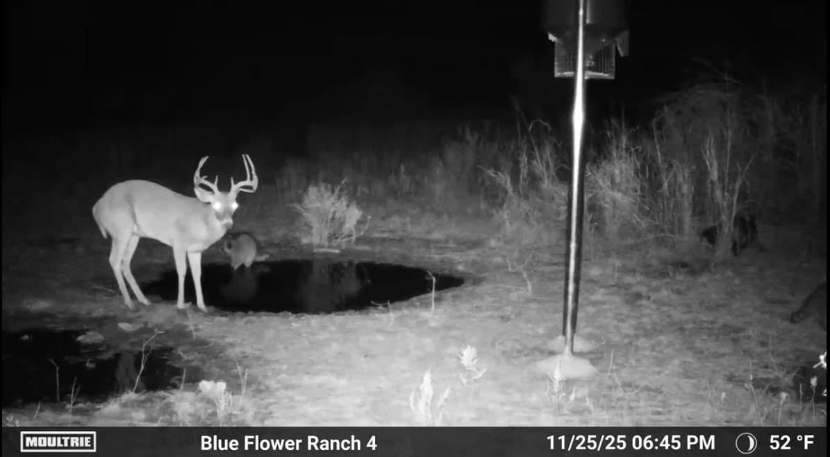 61.12 acres in Taylor County - photo 33