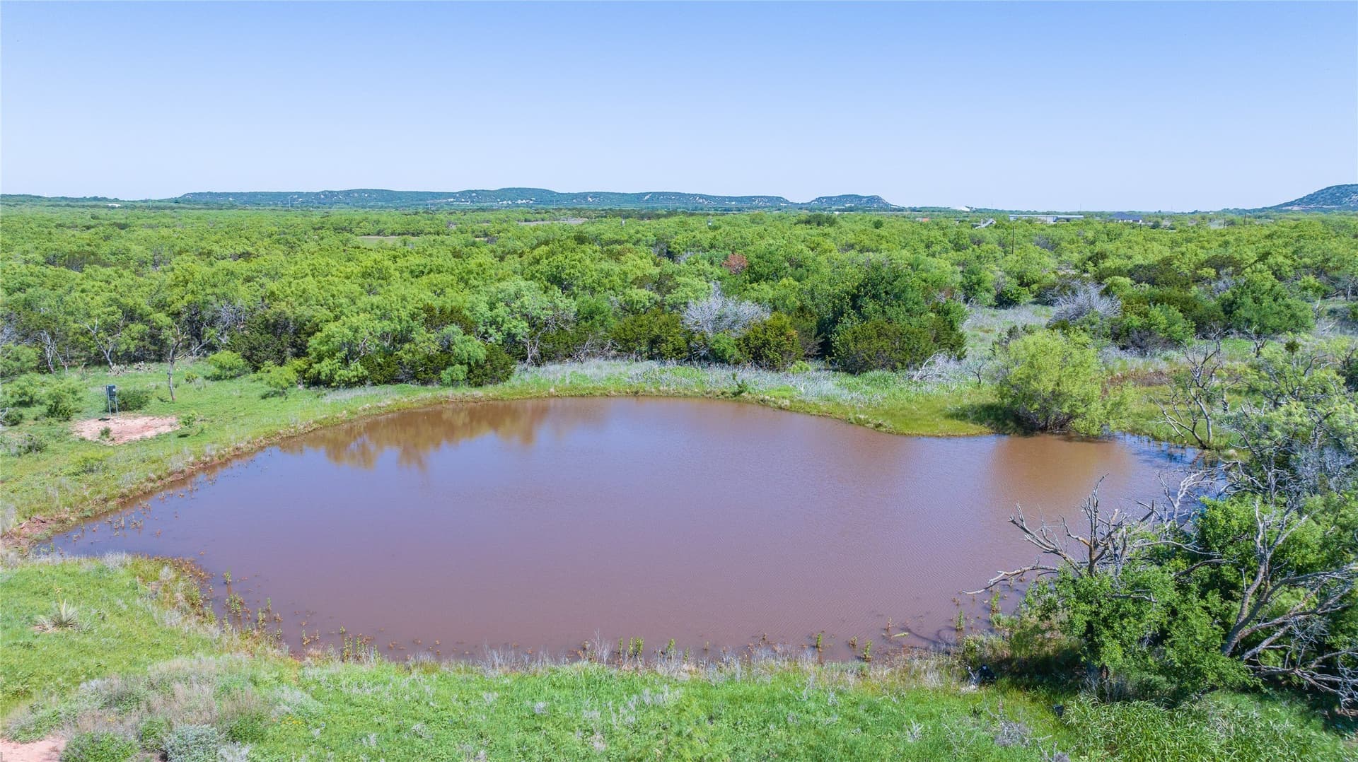 61.12 acres in Taylor County gallery image 4