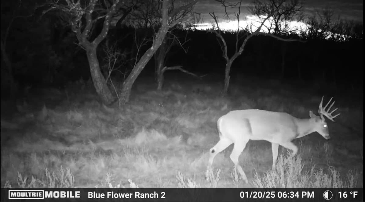61.12 acres in Taylor County - photo 34