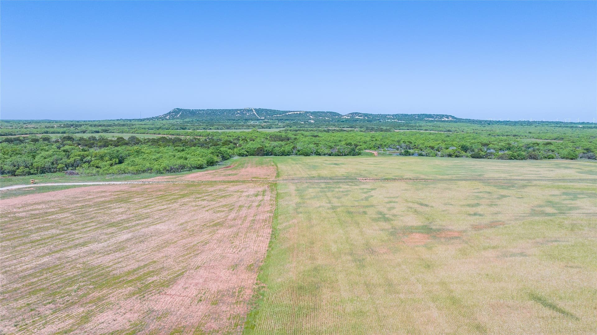 61.12 acres in Taylor County - photo 21