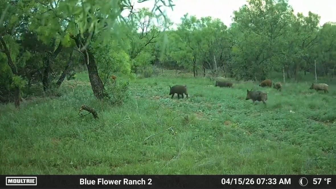 61.12 acres in Taylor County - photo 31
