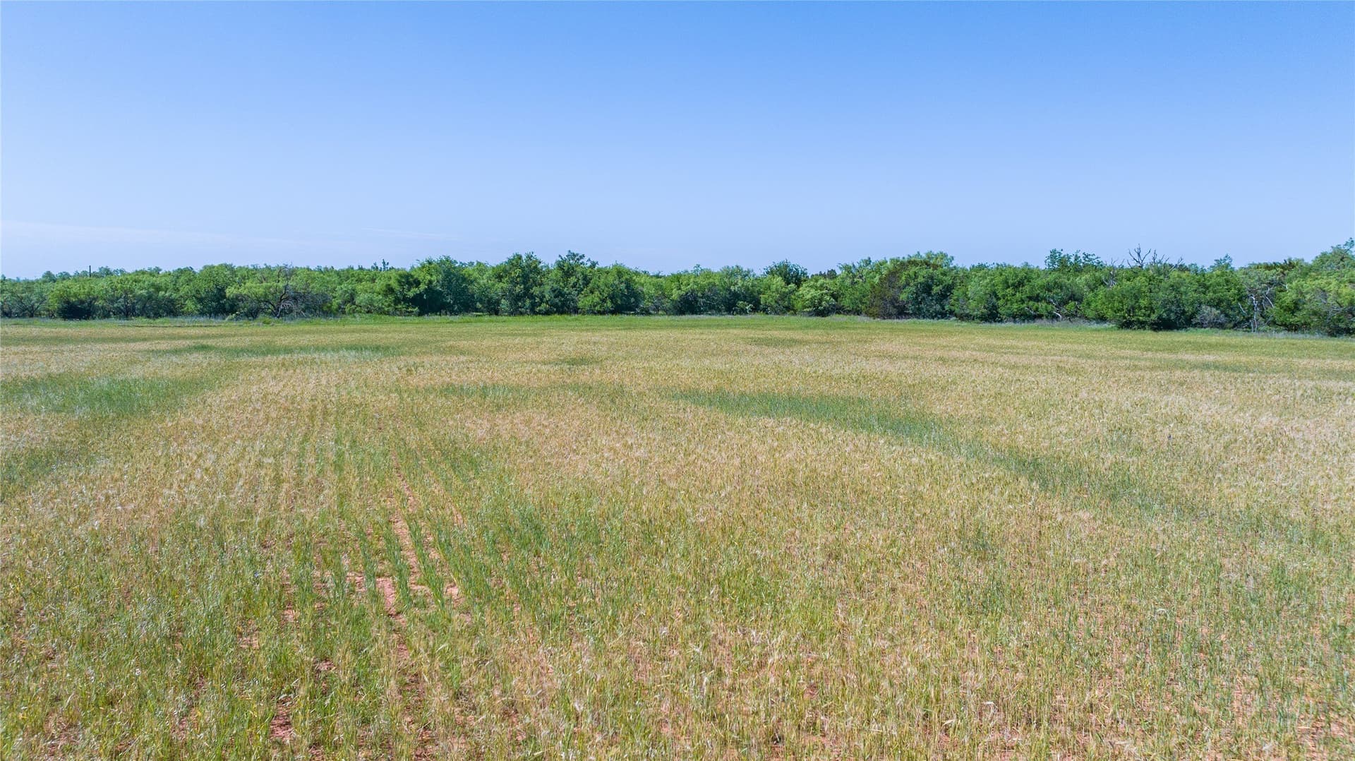 61.12 acres in Taylor County - photo 17