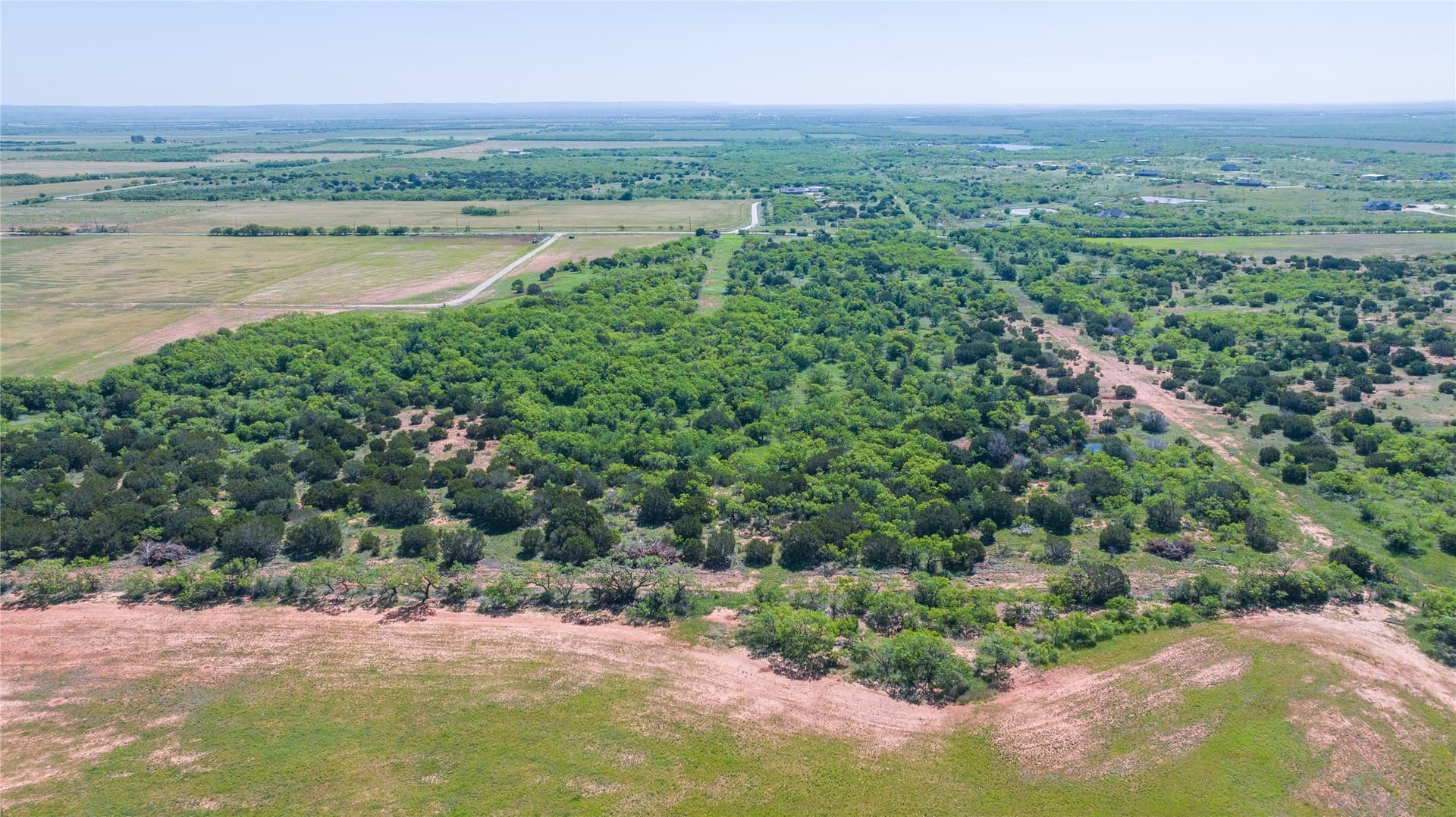 61.12 acres in Taylor County - photo 14