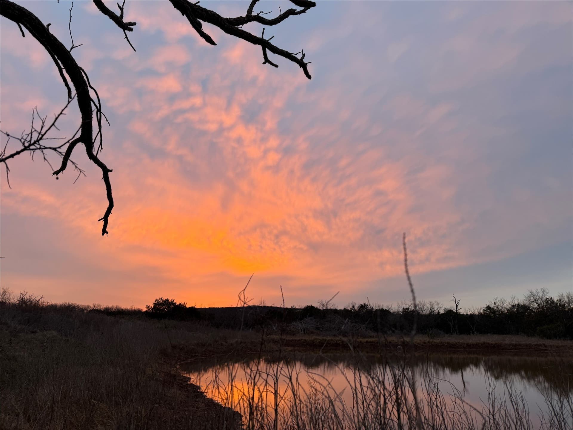 61.12 acres in Taylor County - photo 27