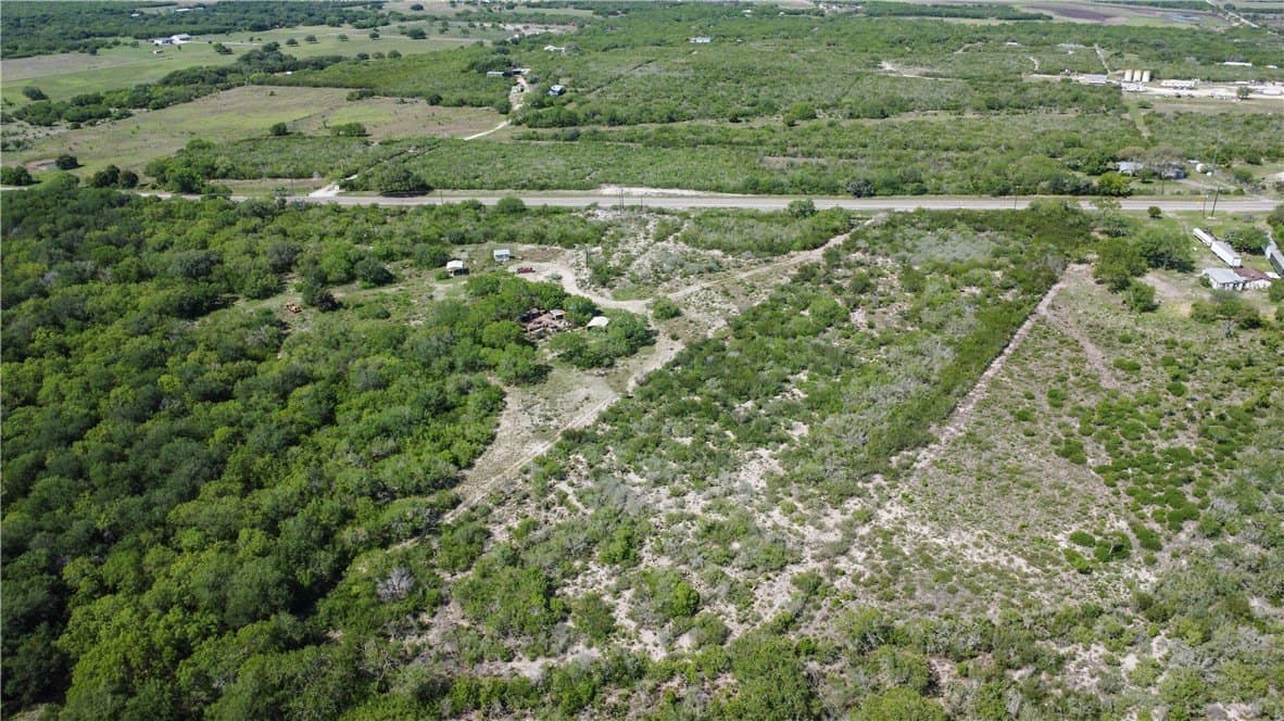 5 acres in Live Oak County - photo 9
