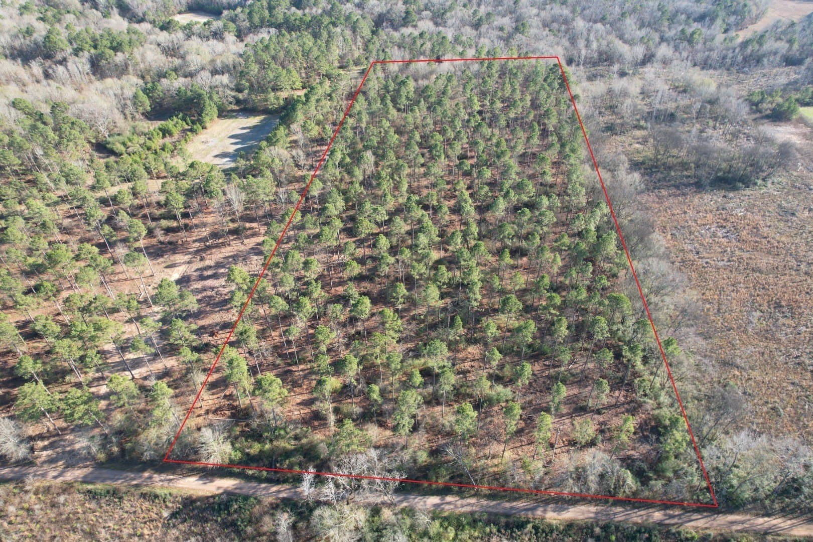 9.78 acres in Panola County
