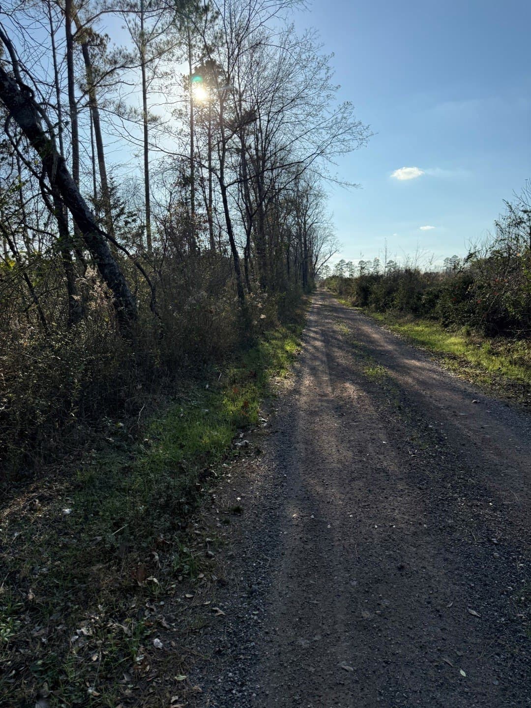 9.78 acres in Panola County - photo 10