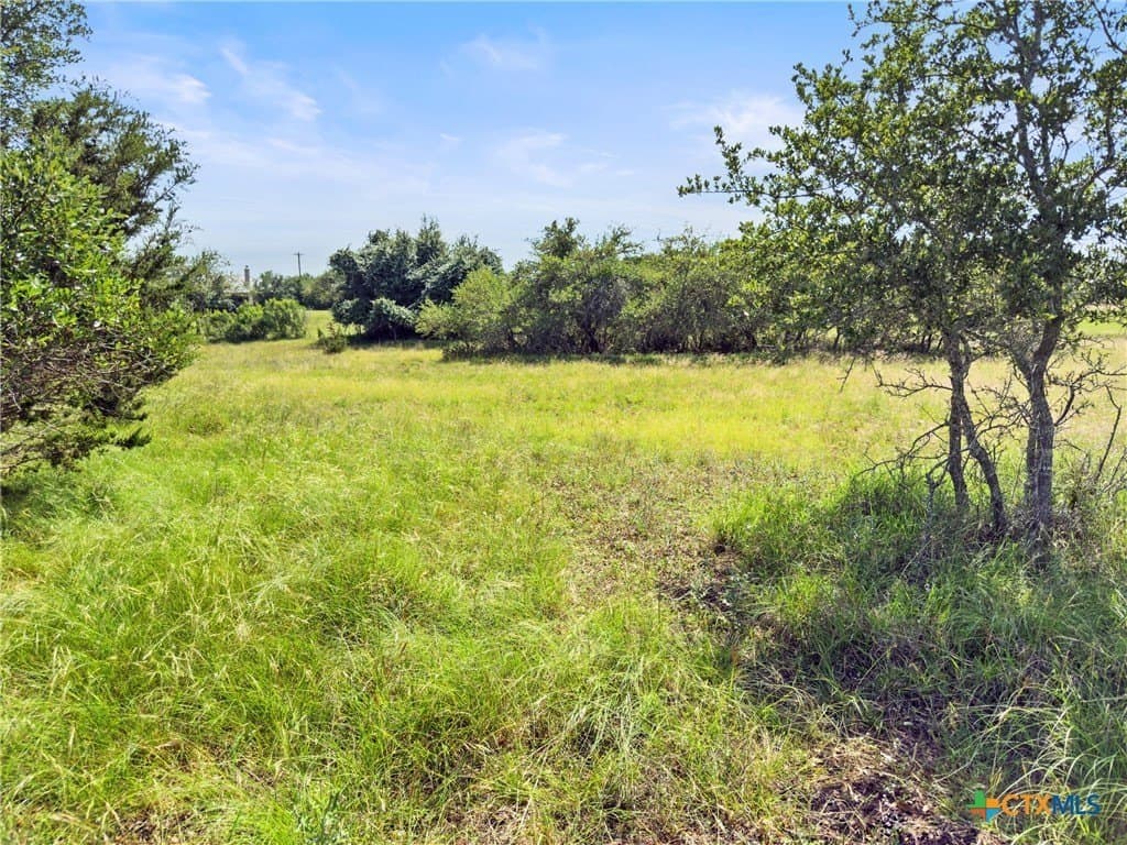0.6 acres in Blanco County - photo 4