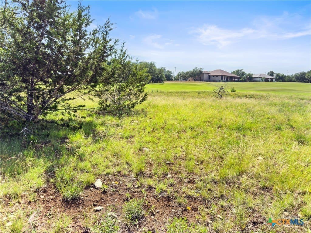 0.6 acres in Blanco County - photo 3